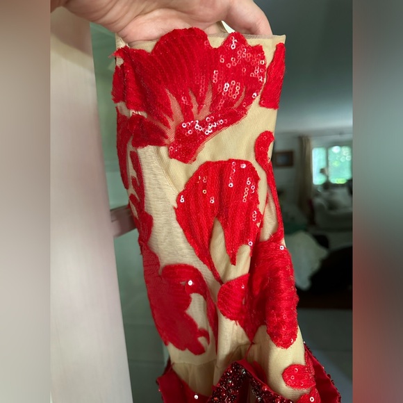 Jovani Gown - Prom or Homecoming, beautiful nude & red - Picture 12 of 13